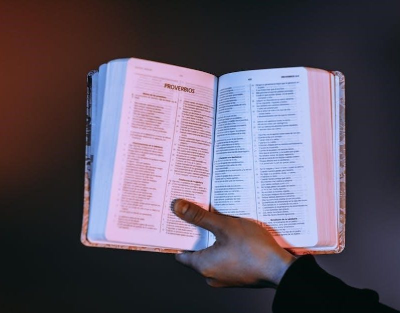 bible word search printable pdf