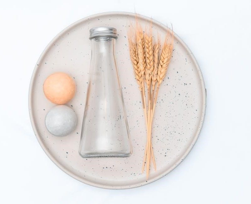 the anxious generation pdf free download