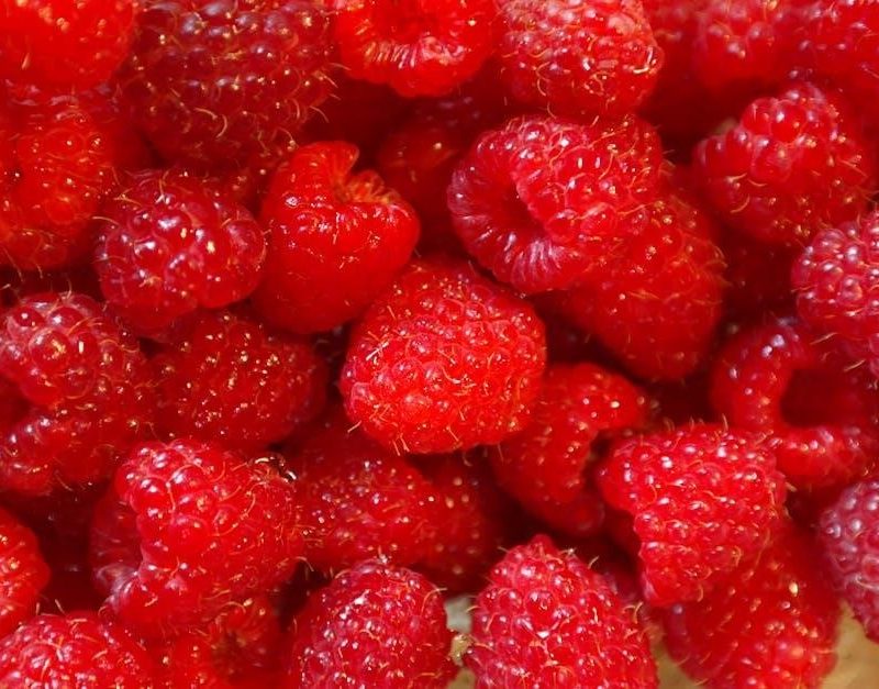 glycemic index of fruits pdf