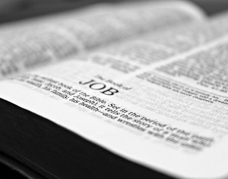 latin vulgate bible pdf