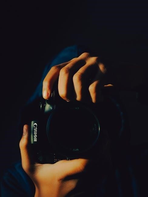 canon pixma pro 100 manual