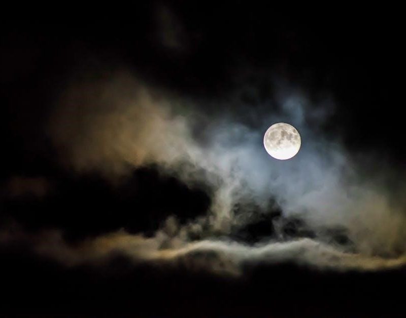 bushnell phantom manual