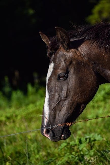 animal farm summary pdf