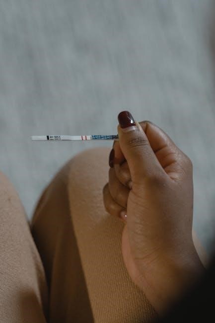 software test plan example pdf